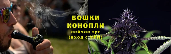 винт Белокуриха